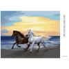 Diamantové maľovanie - KONE NA PLÁŽI (Rámovanie bez rámu a bez vypnutia plátna, Rozmer 40x50 cm)