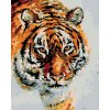 Diamantové maľovanie - TIGER V SNEHU (Rámovanie bez rámu a bez vypnutia plátna, Rozmer 40x50 cm)