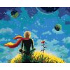 Diamantové maľovanie - MALÝ PRINC A JEHO RUŽA (Rámovanie bez rámu a bez vypnutia plátna, Rozmer 40x50 cm)