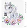 Diamantové maľovanie - BIELÝ KÔN S PIVÓNIAMI (Rámovanie bez rámu a bez vypnutia plátna, Rozmer 40x50 cm)
