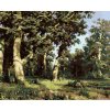 Diamantové maľovanie - DUBOVÝ HÁJ (IVAN SHISHKIN) (Rámovanie bez rámu a bez vypnutia plátna, Rozmer 40x50 cm)
