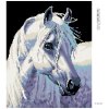 Diamantové maľovanie - BIELY KÔŇ II (Rámovanie bez rámu a bez vypnutia plátna, Rozmer 40x50 cm)