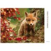 Diamantové maľovanie - MALÁ LÍŠKA (Rámovanie bez rámu a bez vypnutia plátna, Rozmer 40x50 cm)