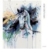 Diamantové maľovanie - ABSTRAKTNÝ KÔŇ (Rámovanie bez rámu a bez vypnutia plátna, Rozmer 40x50 cm)