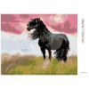 Diamantové maľovanie - ČIERNY KÔŇ NA LÚKE (Rámovanie bez rámu a bez vypnutia plátna, Rozmer 40x50 cm)