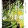 Diamantové maľovanie - BREZY V PROSVETLENOM LESE (Rámovanie bez rámu a bez vypnutia plátna, Rozmer 40x50 cm)