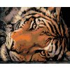 Diamantové maľovanie - JASNÝ TIGRÝ POHĽAD (Rámovanie bez rámu a bez vypnutia plátna, Rozmer 40x50 cm)