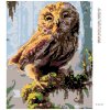Diamantové maľovanie - SOVIČKA (Rámovanie bez rámu a bez vypnutia plátna, Rozmer 40x50 cm)