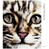 Diamantové maľovanie - PRUHOVANÉ MAČIATKO (Rámovanie bez rámu a bez vypnutia plátna, Rozmer 40x50 cm)