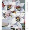 Diamantové maľovanie - NÁDHERNÉ ORCHIDEJE (Rámovanie bez rámu a bez vypnutia plátna, Rozmer 40x50 cm)
