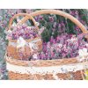 Diamantové maľovanie - LEVANDUĽOVÝ KOŠÍK (Rámovanie bez rámu a bez vypnutia plátna, Rozmer 40x50 cm)