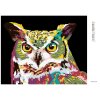 Diamantové maľovanie - FAREBNÁ SOVA (Rámovanie bez rámu a bez vypnutia plátna, Rozmer 40x50 cm)