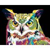 Diamantové maľovanie - FAREBNÁ SOVA (Rámovanie bez rámu a bez vypnutia plátna, Rozmer 40x50 cm)