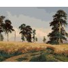 Diamantové maľovanie - ŽITO (IVAN SHISHKIN) (Rámovanie bez rámu a bez vypnutia plátna, Rozmer 40x50 cm)