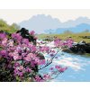 Diamantové maľovanie - ROZKVITNUTÉ KVETY PRI RIEKE (Rámovanie bez rámu a bez vypnutia plátna, Rozmer 40x50 cm)