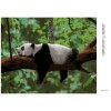 Diamantové maľovanie - PANDA LEŽIACA NA STROME (Rámovanie bez rámu a bez vypnutia plátna, Rozmer 40x50 cm)