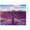 Diamantové maľovanie - LEVANDUĽOVÉ POLE A STROMY V DIAĽKE (Rámovanie bez rámu a bez vypnutia plátna, Rozmer 40x50 cm)