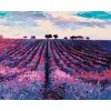 Diamantové maľovanie - LEVANDUĽOVÉ POLE A STROMY V DIAĽKE (Rámovanie bez rámu a bez vypnutia plátna, Rozmer 40x50 cm)