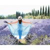 Diamantové maľovanie - LEVANDUĽOVÉ POLE A ŽENA V MODRÝCH ŠATÁCH (Rámovanie bez rámu a bez vypnutia plátna, Rozmer 40x50 cm)