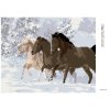 Diamantové maľovanie - KONE V SNEHU (Rámovanie bez rámu a bez vypnutia plátna, Rozmer 40x50 cm)