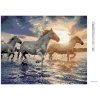 Diamantové maľovanie - KONE VO VODE (Rámovanie bez rámu a bez vypnutia plátna, Rozmer 40x50 cm)
