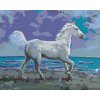 Diamantové maľovanie - BIELY KÔŇ NA BREHU (Rámovanie bez rámu a bez vypnutia plátna, Rozmer 40x50 cm)