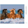 Diamantové maľovanie - TRI KONE VO VODE (Rámovanie bez rámu a bez vypnutia plátna, Rozmer 40x50 cm)