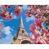 Diamantové maľovanie - PARÍŽ A MAGNÓLIE (Rámovanie bez rámu a bez vypnutia plátna, Rozmer 40x50 cm)