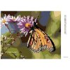 Diamantové maľovanie - MOTÝĽ A KVITNÚCE KVETY (Rámovanie bez rámu a bez vypnutia plátna, Rozmer 40x50 cm)