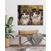 Diamantové maľovanie - MAČKY V TRÁVE (Rámovanie bez rámu a bez vypnutia plátna, Rozmer 40x50 cm)