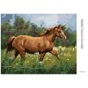 Diamantové maľovanie - HNEDÝ KÔŇ NA PASTVE V LESE (Rámovanie bez rámu a bez vypnutia plátna, Rozmer 40x50 cm)