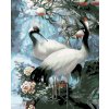 Diamantové maľovanie - BIELY ŽERIAV (Rámovanie bez rámu a bez vypnutia plátna, Rozmer 40x50 cm)