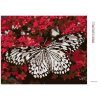 Diamantové maľovanie - BIELY MOTÝĽ A ČERVENÉ KVETY (Rámovanie bez rámu a bez vypnutia plátna, Rozmer 40x50 cm)