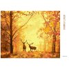Diamantové maľovanie - JELEŇE V LESE (Rámovanie bez rámu a bez vypnutia plátna, Rozmer 40x50 cm)