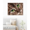 Diamantové maľovanie - MAČKA A ZELENÉ OČI (Rámovanie bez rámu a bez vypnutia plátna, Rozmer 40x50 cm)