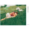 Diamantové maľovanie - SPIACA ŽENA V TRÁVE A KOZLIATKA (Rámovanie bez rámu a bez vypnutia plátna, Rozmer 40x50 cm)