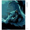 Diamantové maľovanie - NOČNÝ ŽIVOT MAČKY (Rámovanie bez rámu a bez vypnutia plátna, Rozmer 40x50 cm)