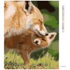 Diamantové maľovanie - LÍŠKA A MLÁĎA (Rámovanie bez rámu a bez vypnutia plátna, Rozmer 40x50 cm)