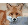 Diamantové maľovanie - MLADÁ LÍŠKA (Rámovanie bez rámu a bez vypnutia plátna, Rozmer 40x50 cm)