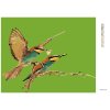 Diamantové maľovanie - DVA KOLIBRÍKY (Rámovanie bez rámu a bez vypnutia plátna, Rozmer 40x50 cm)