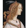 Diamantové maľovanie - PORTRÉT DÁMY (SANDRO BOTTICELLI) (Rámovanie bez rámu a bez vypnutia plátna, Rozmer 40x50 cm)