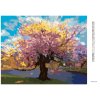 Diamantové maľovanie - SAKURA PRI POTOKU (Rámovanie bez rámu a bez vypnutia plátna, Rozmer 40x50 cm)