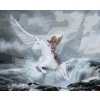 Diamantové maľovanie - FANTASY ŽENA A PEGAS (Rámovanie bez rámu a bez vypnutia plátna, Rozmer 40x50 cm)