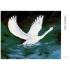 Diamantové maľovanie - BIELA LABUŤ NA ČIERNOM JAZERE (Rámovanie bez rámu a bez vypnutia plátna, Rozmer 40x50 cm)