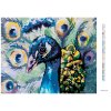 Diamantové maľovanie - PÁV (Rámovanie bez rámu a bez vypnutia plátna, Rozmer 40x50 cm)