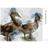 Diamantové maľovanie - MLADÉ KAČKY (Rámovanie bez rámu a bez vypnutia plátna, Rozmer 40x50 cm)