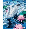 Diamantové maľovanie - LABUŤ S DVOMI LEKNÍNMI (Rámovanie bez rámu a bez vypnutia plátna, Rozmer 40x50 cm)
