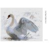 Diamantové maľovanie - BIELA LABUŤ (Rámovanie bez rámu a bez vypnutia plátna, Rozmer 40x50 cm)