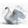 Diamantové maľovanie - BIELA LABUŤ (Rámovanie bez rámu a bez vypnutia plátna, Rozmer 40x50 cm)