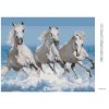 Diamantové maľovanie - BIELE KONE (Rámovanie bez rámu a bez vypnutia plátna, Rozmer 40x50 cm)